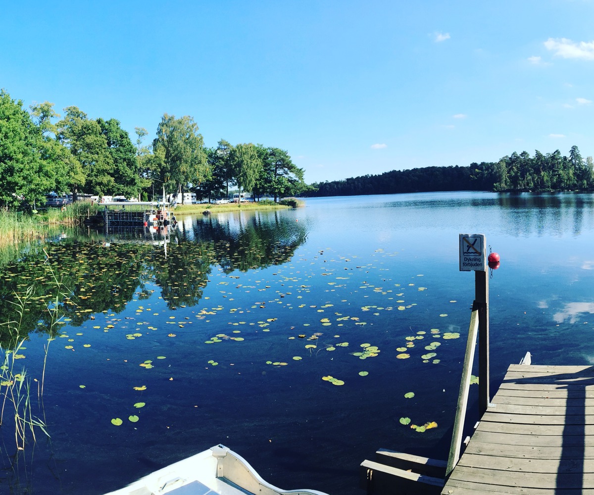 Sommarvy över Vittsjön med brygga och näckrosor