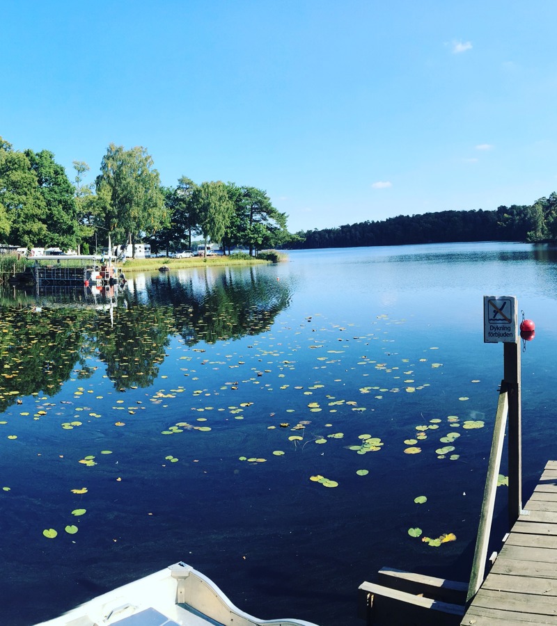 Sommarvy över Vittsjön med brygga och näckrosor